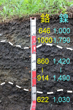 花蓮富里無毛山-蛇紋岩母質兩次崩積風化土壤