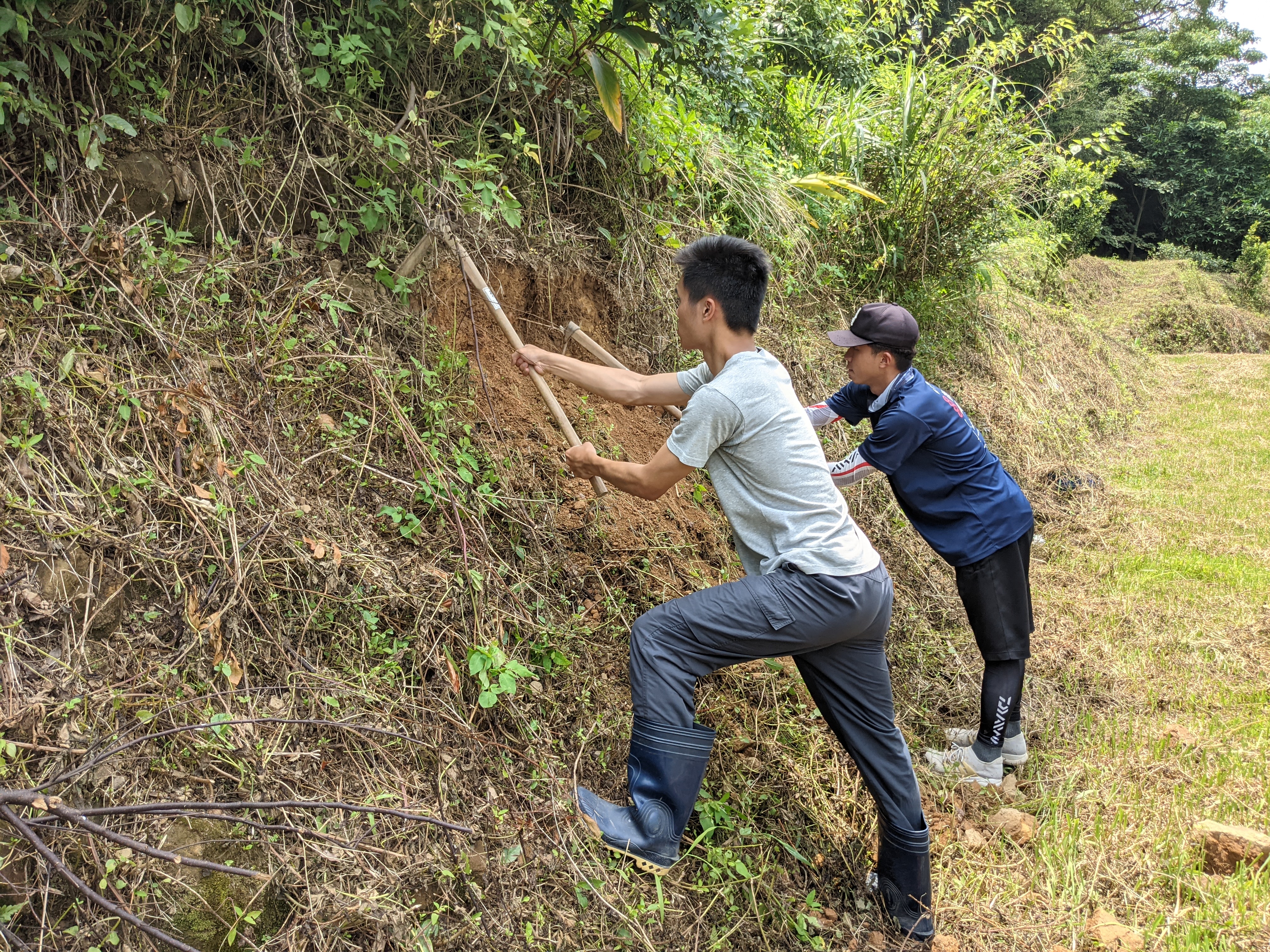 苗栗南富系坡地剖面採樣