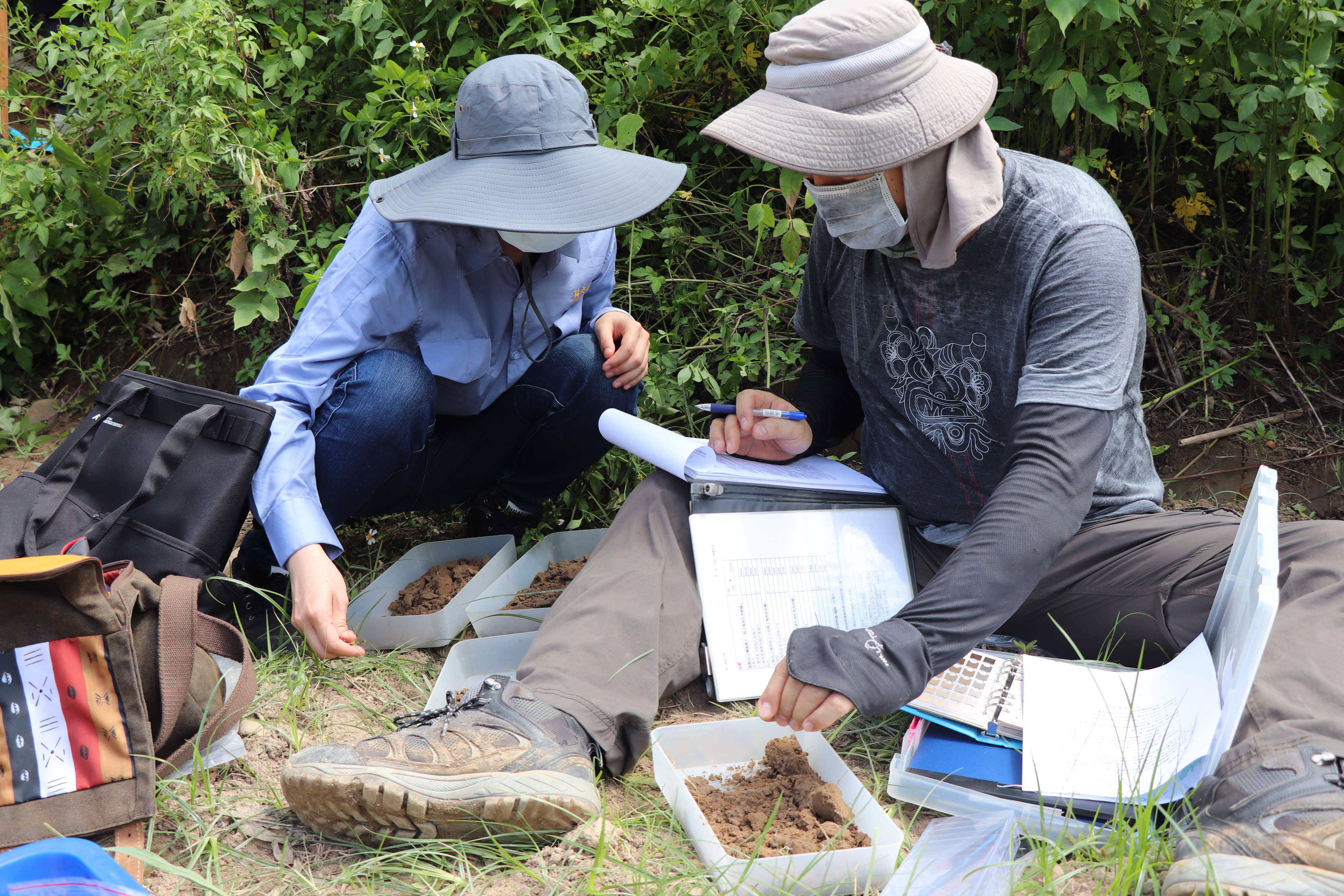 紀錄土壤形態_桃園樟樹林系